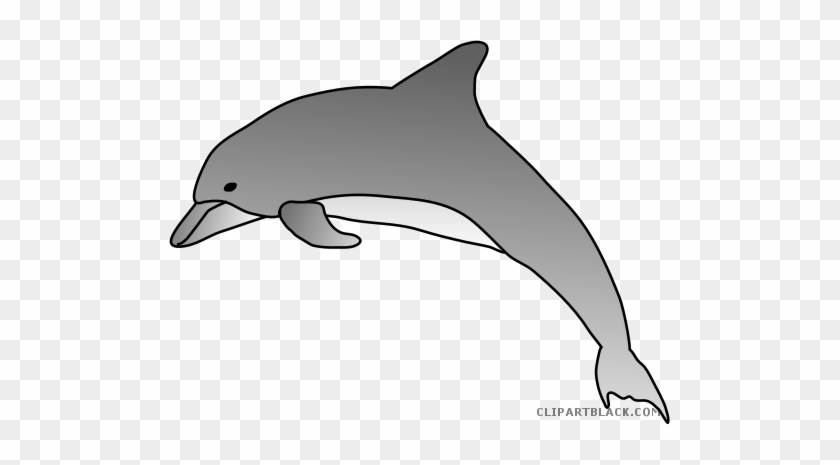 Bottlenose Dolphin Clipart - Bottlenose Dolphin Drawing #1032324