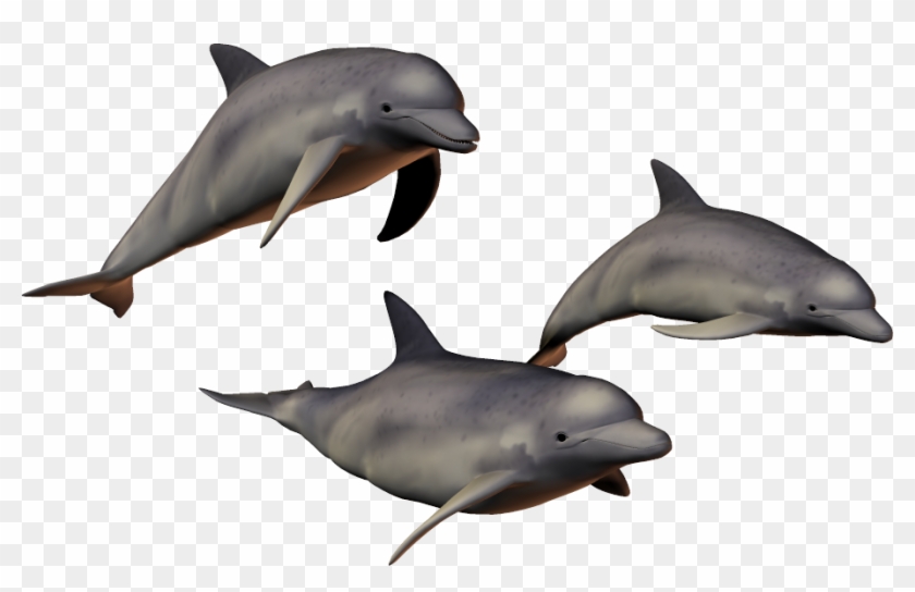 Dolphin Png Transparent Images - Dolphins Transparent Background #1032330