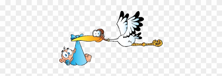 Stork Carrying Baby Boy - Stork Carrying Baby Cartoon #1032567