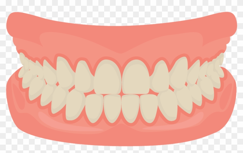 Human Tooth Smile Mouth Dentistry - Teeth Cartoon #1032736
