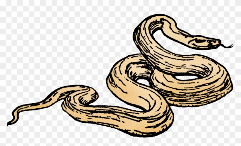 Serpent #1032763