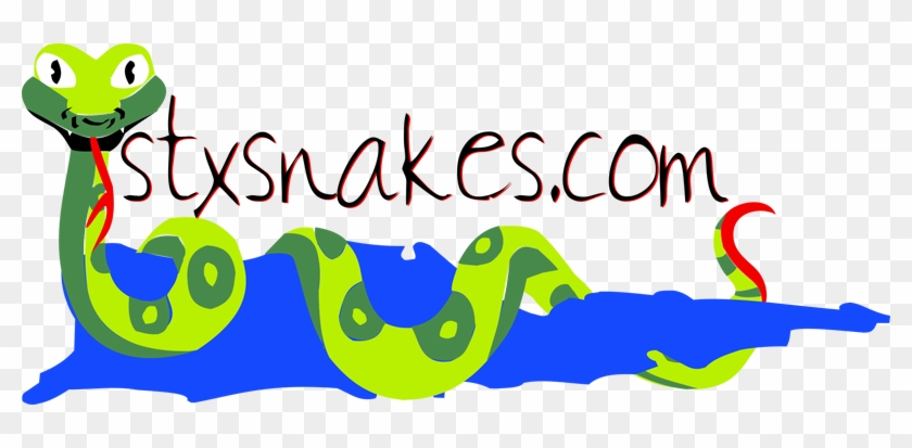 United States Virgin Islands Snake Information - Saint Croix #1032776