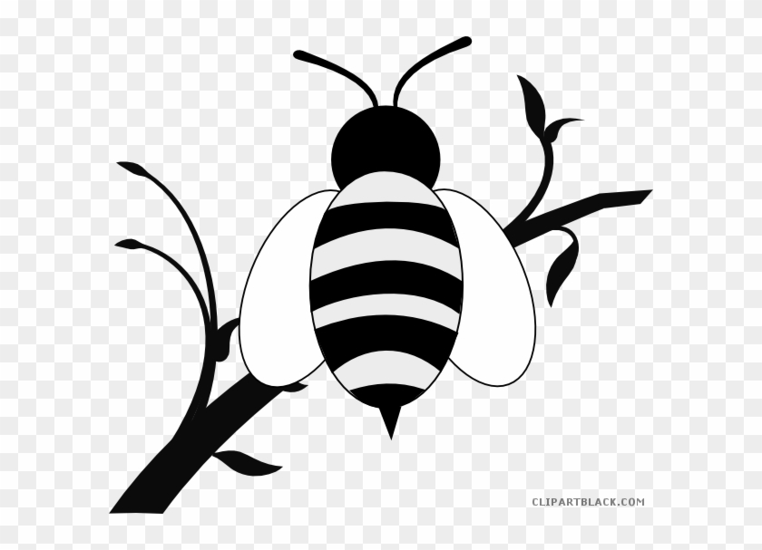 Honey Bee Animal Free Black White Clipart Images Clipartblack - Black And White Branch Of Tree Clipart #1033172