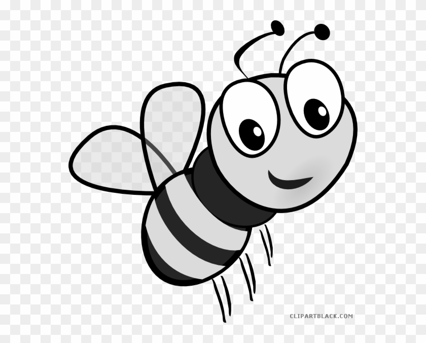Busy Bee Animal Free Black White Clipart Images Clipartblack Bee Cartoon Free Transparent Png Clipart Images Download