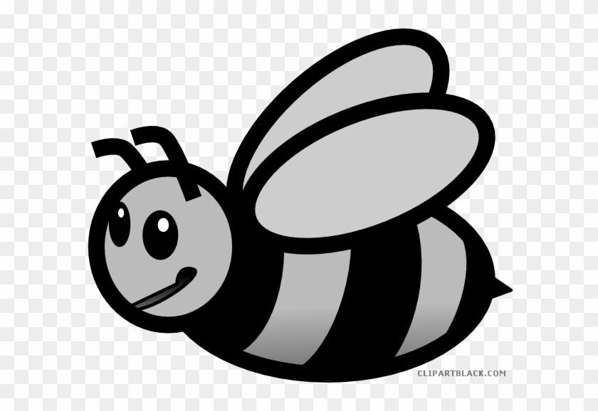 Small Bee Animal Free Black White Clipart Images Clipartblack - Clip Art #1033177