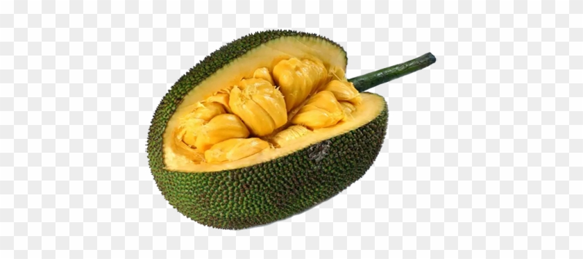 Jackfruit - Does Jackfruit Taste Like #1033183