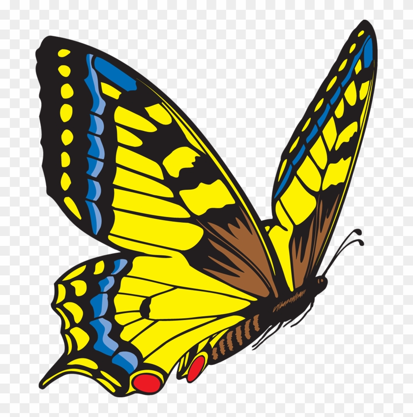 Butterfly Clipart Free Images - Butterfly Blue And Yellow #1033459