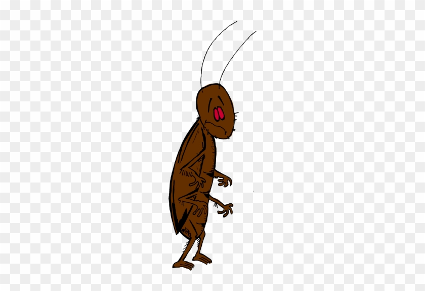 Cockroach Clipart Transparent - Cartoon #1033499