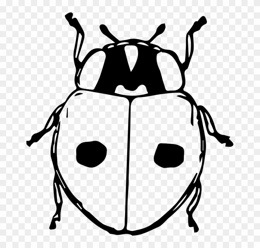 Beelte Clipart Kumbang - Beetles Png Cartoon #1033502