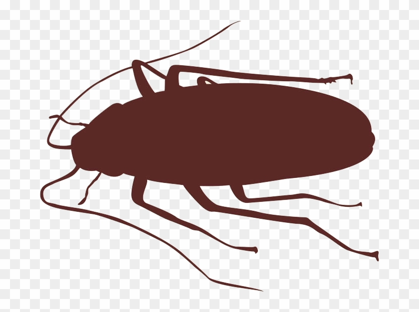 How To Get Rid Of Cockroaches And Other Bugs Bug Buster - Cockroach Silhouette Png #1033504