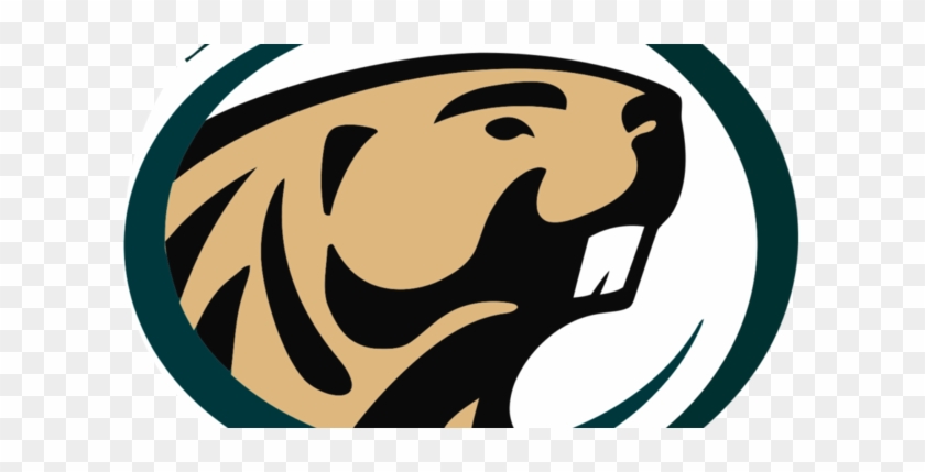 College Men's Hockey Preview - Bemidji State University Beaver #1033699