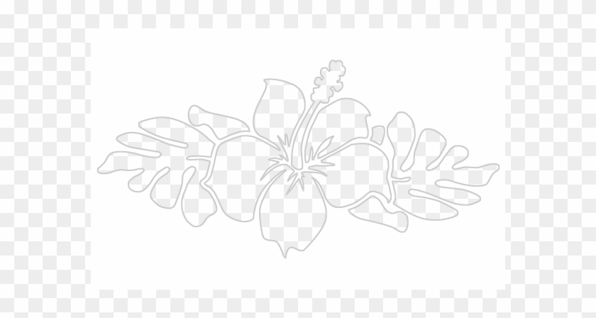 Orange County #1034082