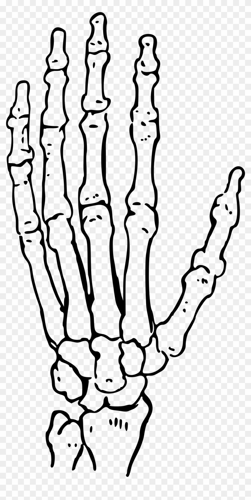 Big Image - Skeleton Hand Clipart #1034104