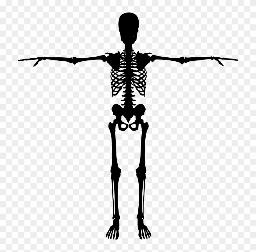 Medium Image - Skeleton Silhouette Png #1034106