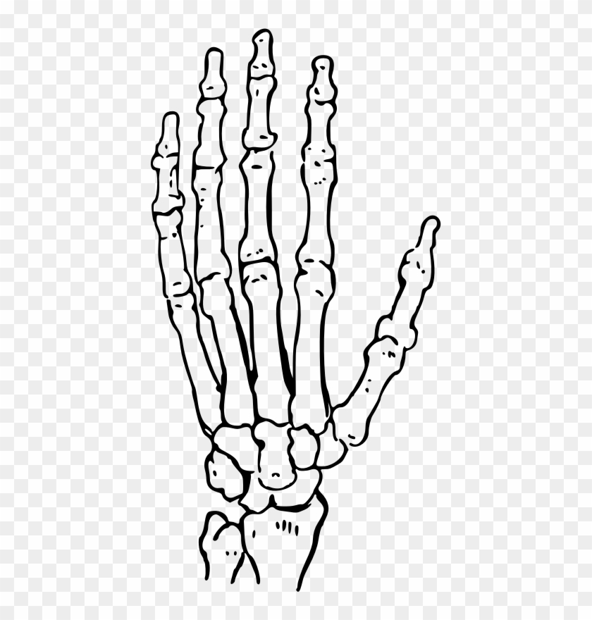 Medium Image - Skeleton Hand Clip Art #1034116