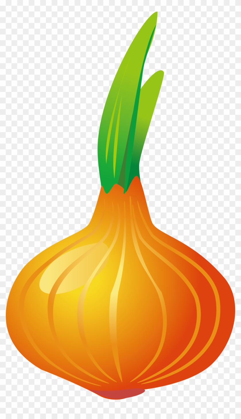 Pumpkin Calabaza Vegetable Onion Garlic - Fruit #1034262