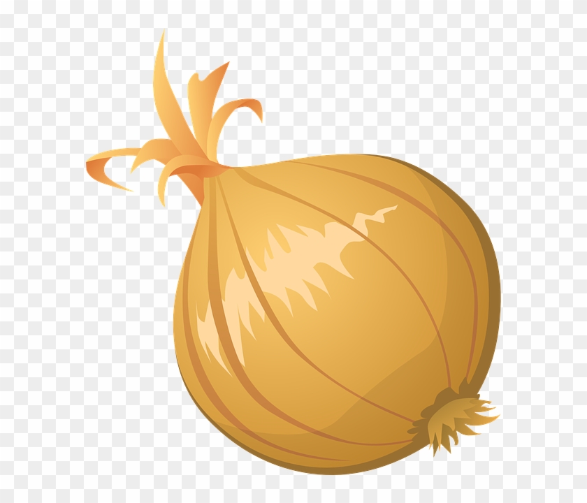 ½, Onion - Onion Clip Art #1034263