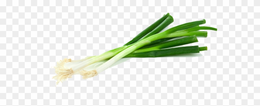 Green Onion Transparent Png - Green Onion Transparent Background #1034275