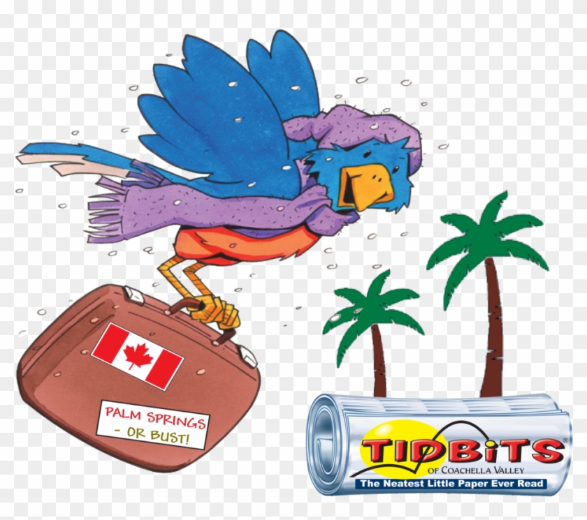 Snowbird Flying With Suitcase And Paper Clip Art Of - Snowbirds Cartoon #1034584