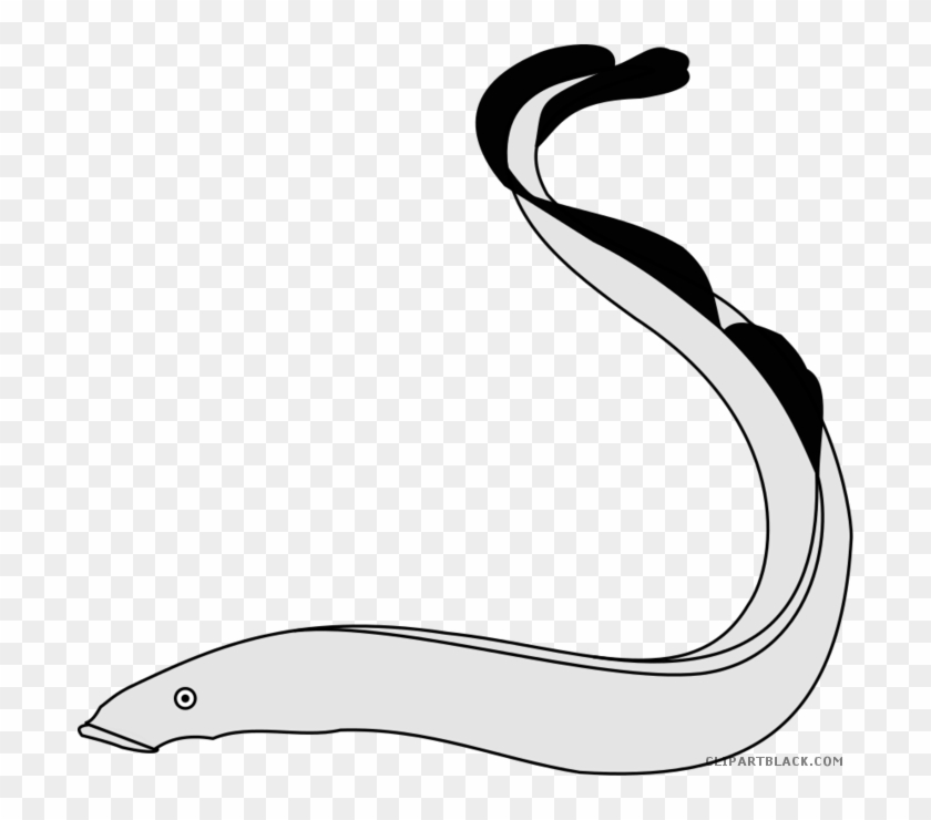 Eel Animal Free Black White Clipart Images Clipartblack - Eel Animal Free Black White Clipart Images Clipartblack #1034817