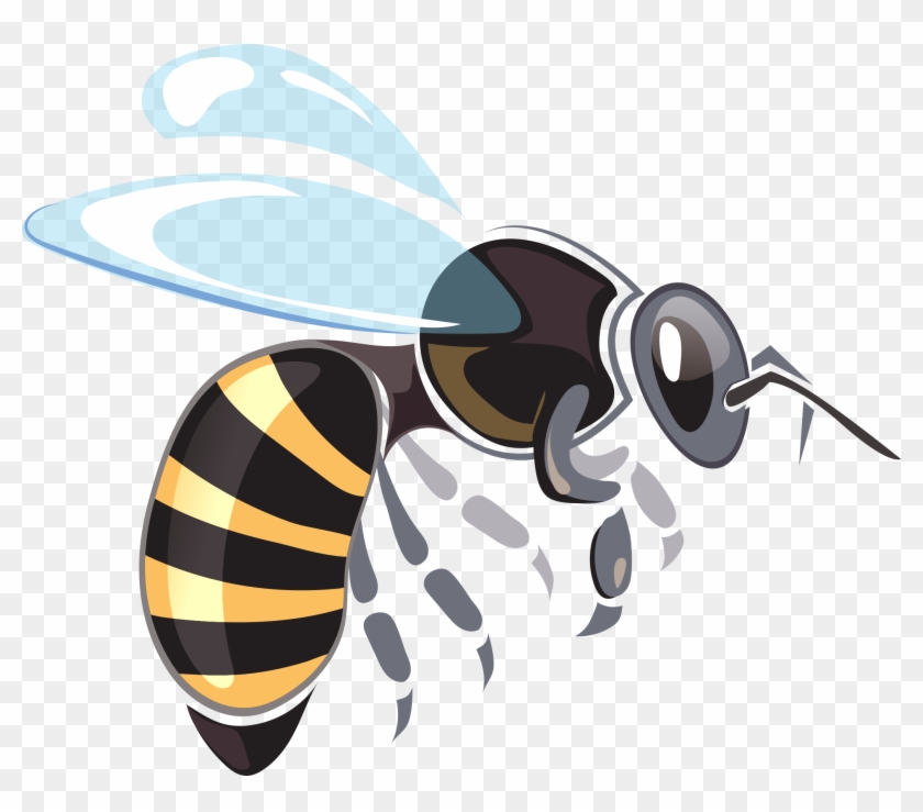 Illustration Bee Vector Graphics Honey Clip Art Apiary Free
