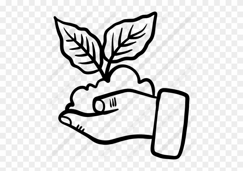 Sprout - Sprout #1035507