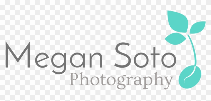 Augustine Lifestyle Family Photographer - Augustine Lifestyle Family Photographer #1035669