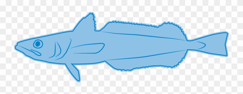 Peruvian Hake - Whale #1036758