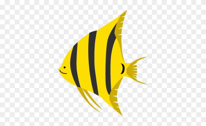For Download Free Image - Angelfish #1036763