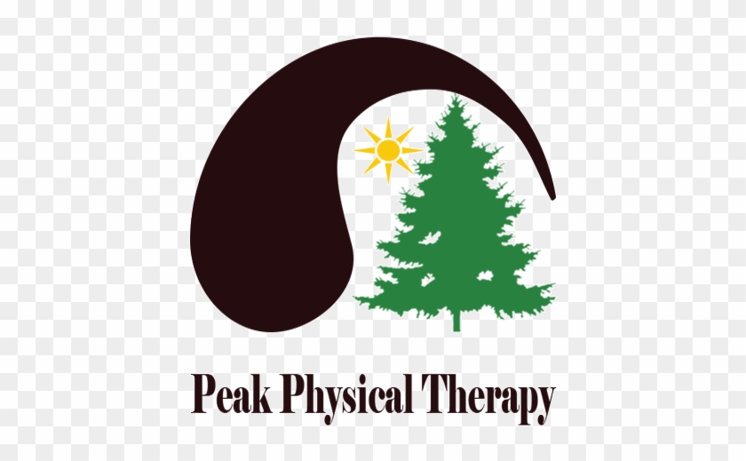 Logo Design By Bradoral For Peak Physical Therapy - Christmas Tree #1036965