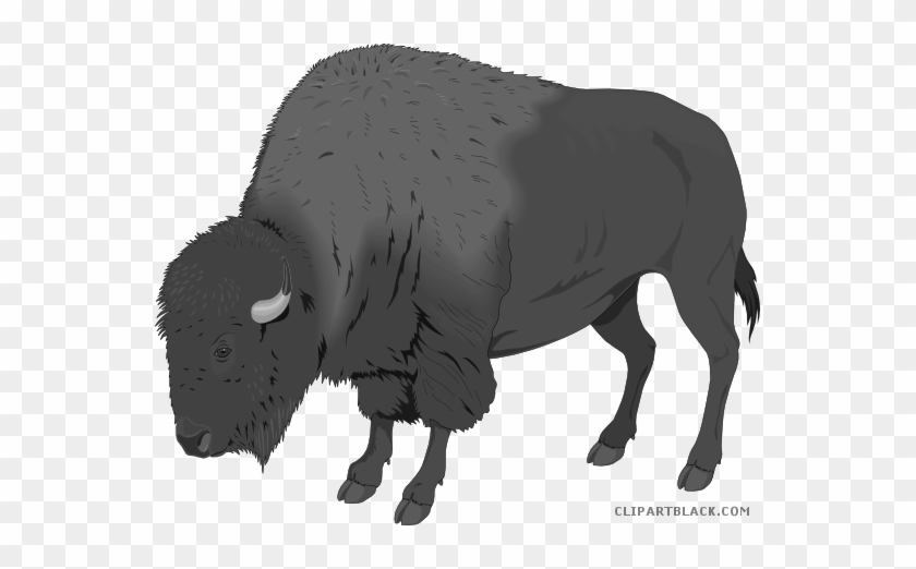 Bison Animal Free Black White Clipart Images Clipartblack - American Bison Clipart #1037529