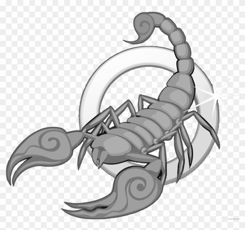 Scorpion Animal Free Black White Clipart Images Clipartblack - Zodiac Astrological Sign Scorpio Scorpion 10/23 #1037779