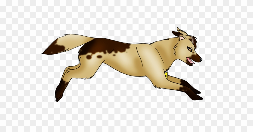 Image - Lion #1037846