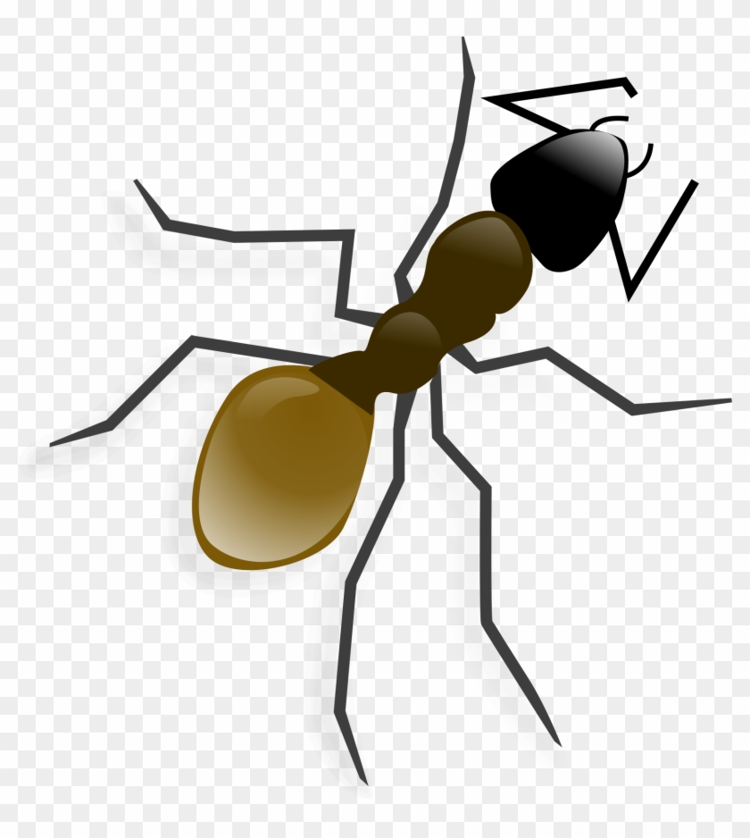 Get Notified Of Exclusive Freebies - Ant Clip Art #1038088