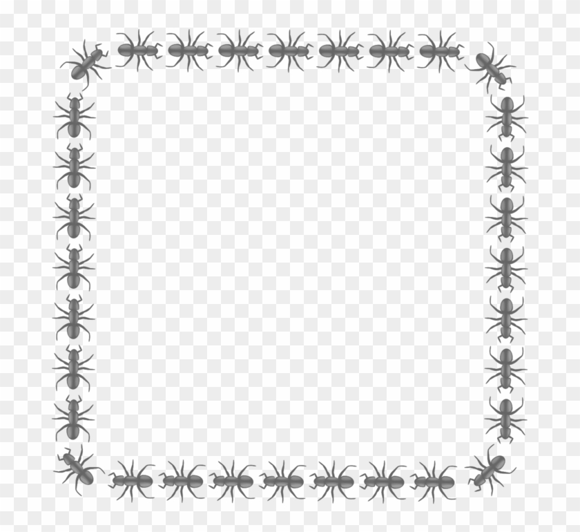 Ant Border Square By Pitr A Square Border Made Of Ants - Ant Border #1038096
