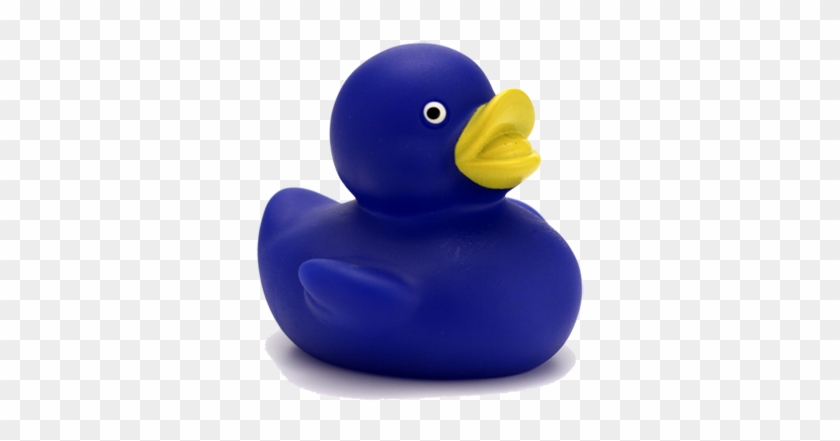 The Blue Duck Found In Routeburn Valley - Blue Duck #1038150