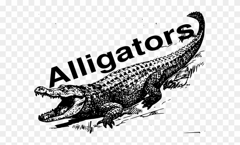Skull Clipart Alligator - Alligator Images With Name #1038159