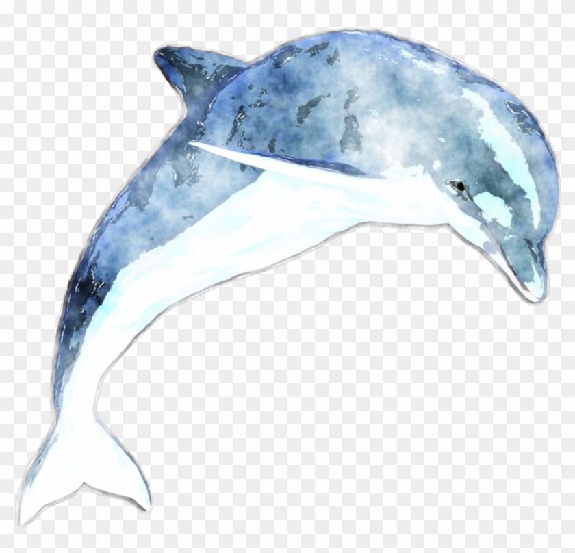 Watercolor Dolphin By Lavandalu On Deviantart - Transparent Watercolor Dolphin #1038226