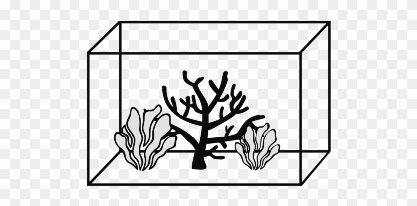 Aquariums - Line Art #1038246