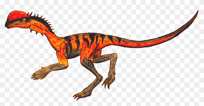Dilophosaurus - Google Search - Dinosaur Dilaphasaurus Drawing #1038473