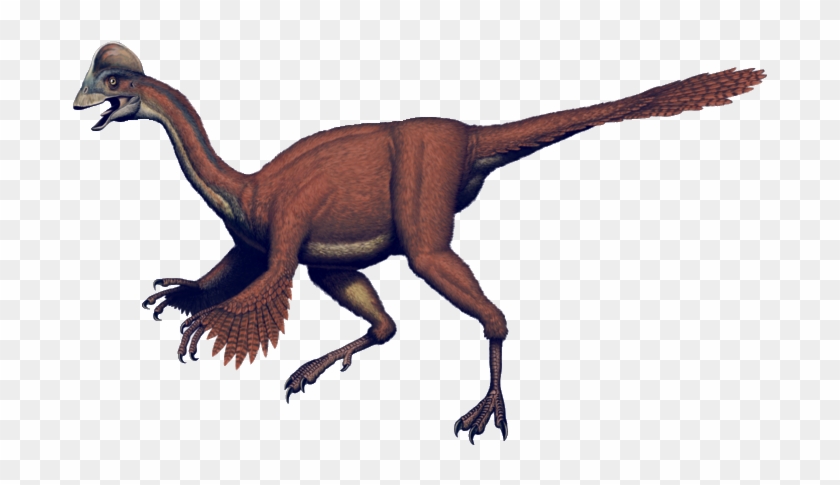 Oviraptor Dinosaur - - Giant Chicken Dinosaur #1038482