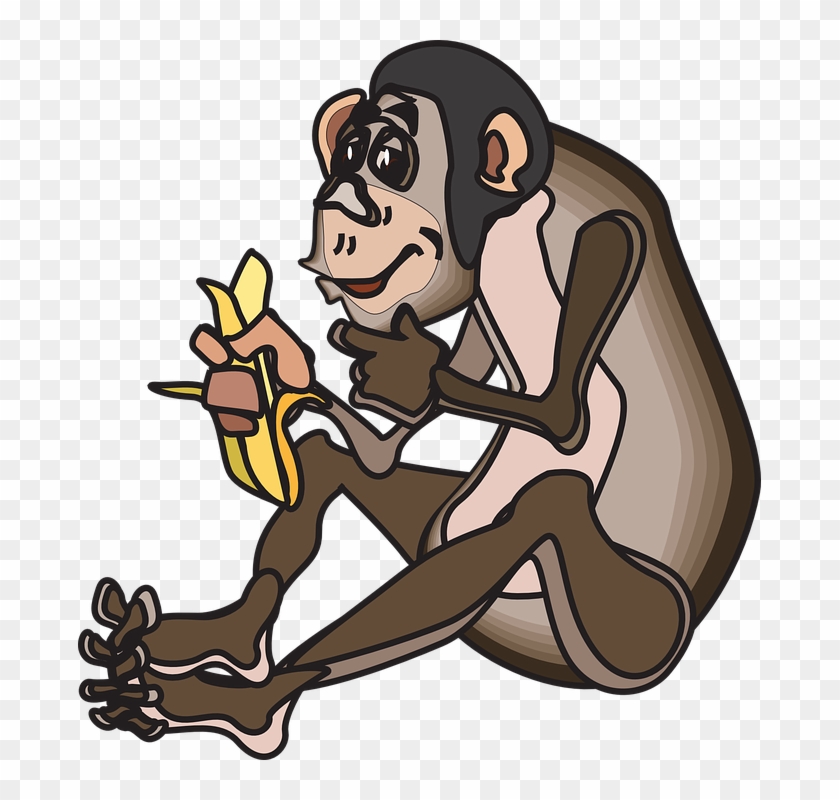 Cartoon Monkey Pics 26, - Animasi Bergerak Monyet Makan Pisang #1038661