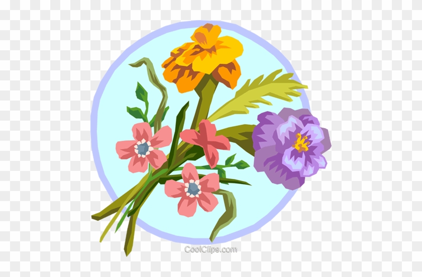 Marigold Bouquet Royalty Free Vector Clip Art Illustration - Primula #1039080