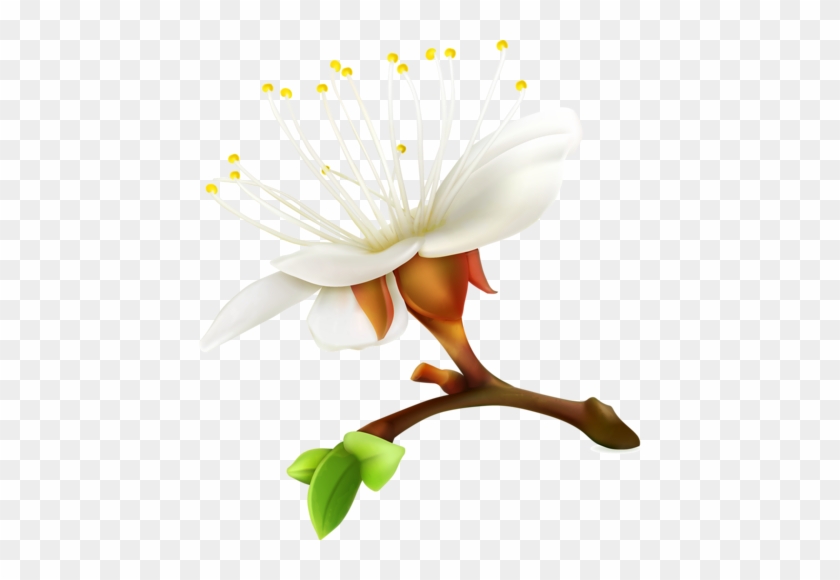 Цветущие Деревья - Vector Graphics #1039113