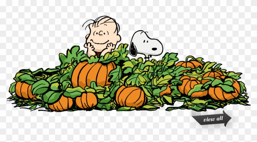 Pumpkin Patch Cliparts - Pumpkin Patch Charlie Brown #1039169