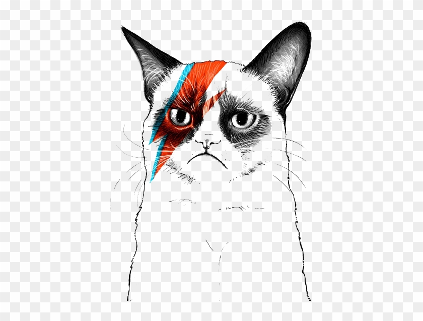 Grumpy Cat Tumblr Transparent - David Bowie Artist Tribute #1039350