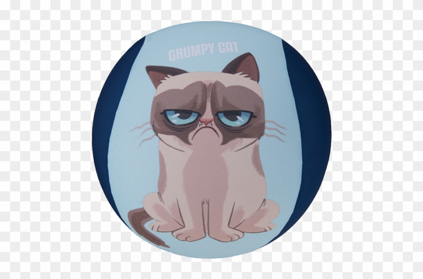 Grumpy Cat Mornings Mug #1039402