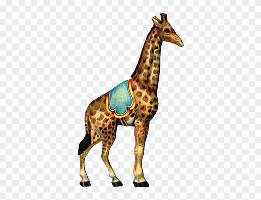 Giraffe - Vintage Circus Clipart #1039462