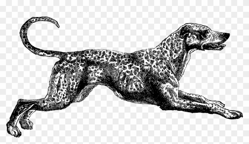 Vintage Dalmatian Clip Art - Vintage Dog Png #1039466