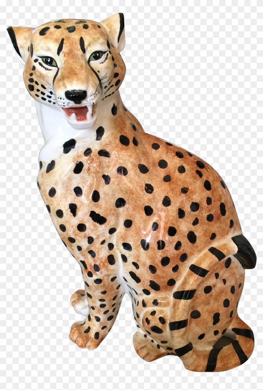 Cheetah #1039505